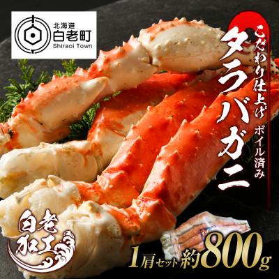 ふるさと納税 白老町 タラバ 脚 ボイル済み 冷凍 シュリンク済み 1肩セット 約800g BM006
