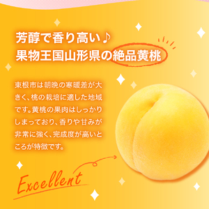 【2026年産 先行予約】 白桃＆黄桃 詰め合わせ (品種おまかせ) 2kg 秀品 化粧箱入り 東根農産センター提供 山形県 東根市 hi027-263 （果物 フルーツ くだもの もも 桃 白桃 黄