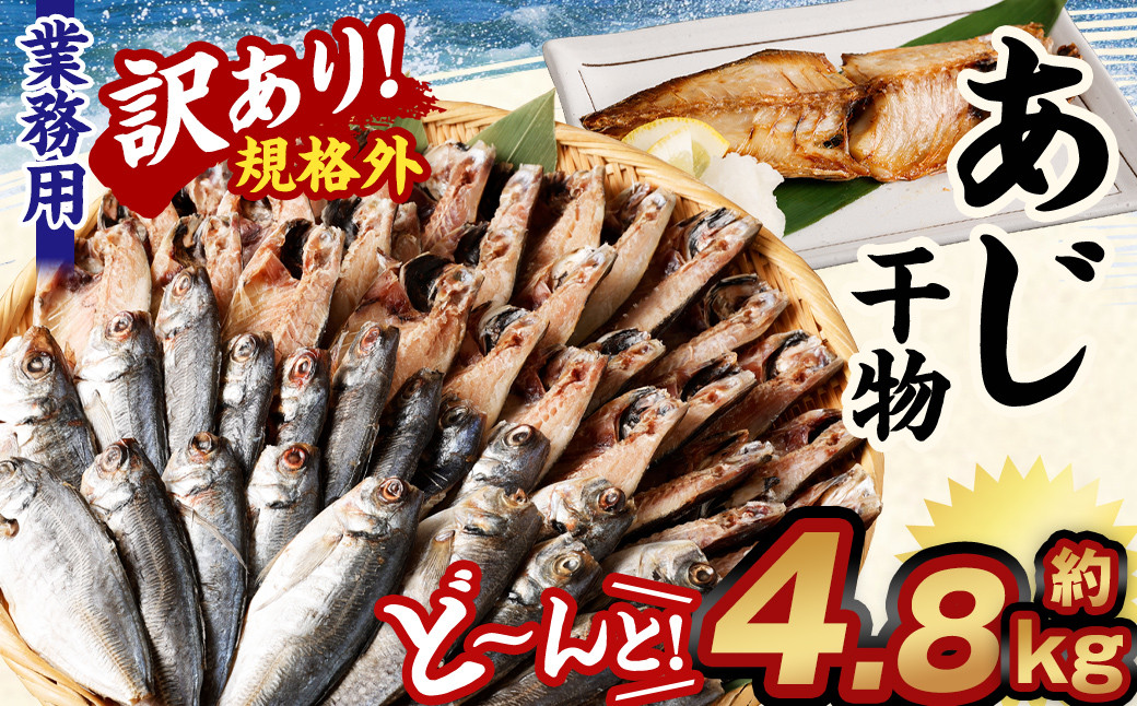 
【訳あり規格外】 業務用 あじ 干物 どーんと！ 4.8kg アジ 鯵 魚
