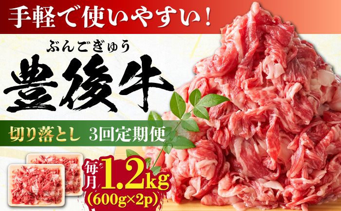 
            【全3回定期便】【大容量パック！】 おおいた豊後牛 牛肉 切り落とし 1.2kg (600g×2) 日田市 / 株式会社MEAT PLUS　肉 牛肉 和牛 [AREI047]
          