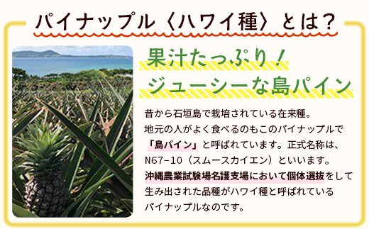 ＜先行予約＞ 石垣島産 有機パイナップル ハワイ種 2～4玉 (約2.8kg)《7月上旬順次発送》| パイナップル パインアップル 石垣島パイン フルーツ 果物 くだもの 南国フルーツ 国産パイン E