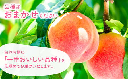 石巻産桃 2.5kg 豊橋 先行予約 もも
