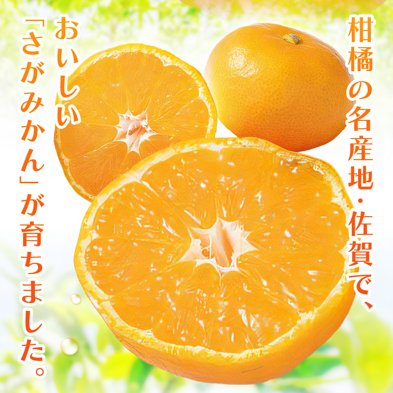佐賀産 さがみかん 約10kg箱 (伊万里市) 柑橘類 147-B799