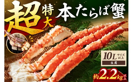 【年内配送】【1肩約2.5kgの超極太10L以上メガサイズ】本たらば蟹 生肩 約2.5kg 目視選別【087B-048】