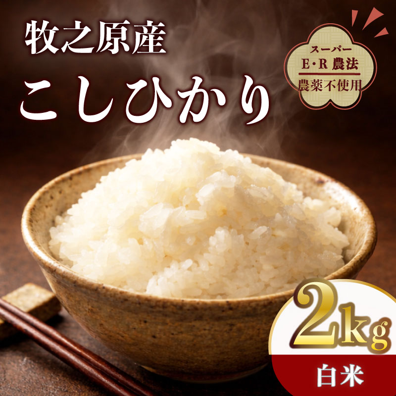 【ふるさと納税】 国産 お米 コシヒカリ 2kg 令和7年度産 数量限定 お米 白米 新米 白米 精米 ご飯 白 ごはん 産直 おむすび ギフト プレゼント 日常 おにぎり お弁当 食品家庭用 食卓 食 食品 和食 日用品 家庭 牧之原産日常 高級 上品 大澤農園 静岡 県 牧之原