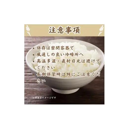 モチモチふっくら「ミルキークイーン」精米5kg ／ 米 こめ コメ お米 ご飯 ごはん ミルキークイーン 白米 精米 令和7年産 5kg 利根町 送料無料