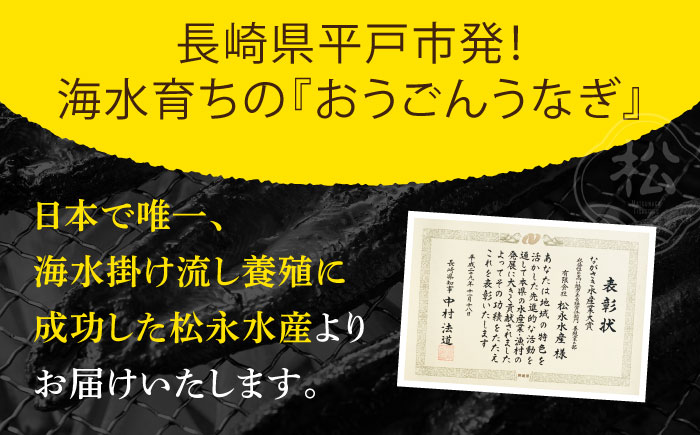 【全12回定期便】【着日指定 可能】【日本初！海水で養殖】長崎県産おうごん うなぎ 松セット 約1kg（6尾〜8尾） 平戸市 / 松永水産 うなぎ 鰻 ウナギ 土用丑の日 九州産 蒲焼 かばやき [K