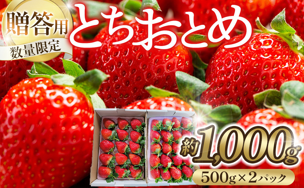 【贈答用・数量限定】とちおとめ　いちご　約1kg（約500g×2パック）1パック　15粒または20粒 232238_DU003