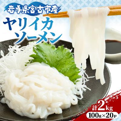 ふるさと納税 宮古市 ヤリイカソーメン宮古産100g×20パック(2kg)