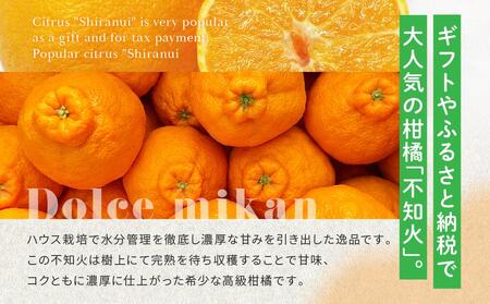 高級柑橘 贈答用 越冬完熟ハウスしらぬひ（不知火）化粧箱8玉