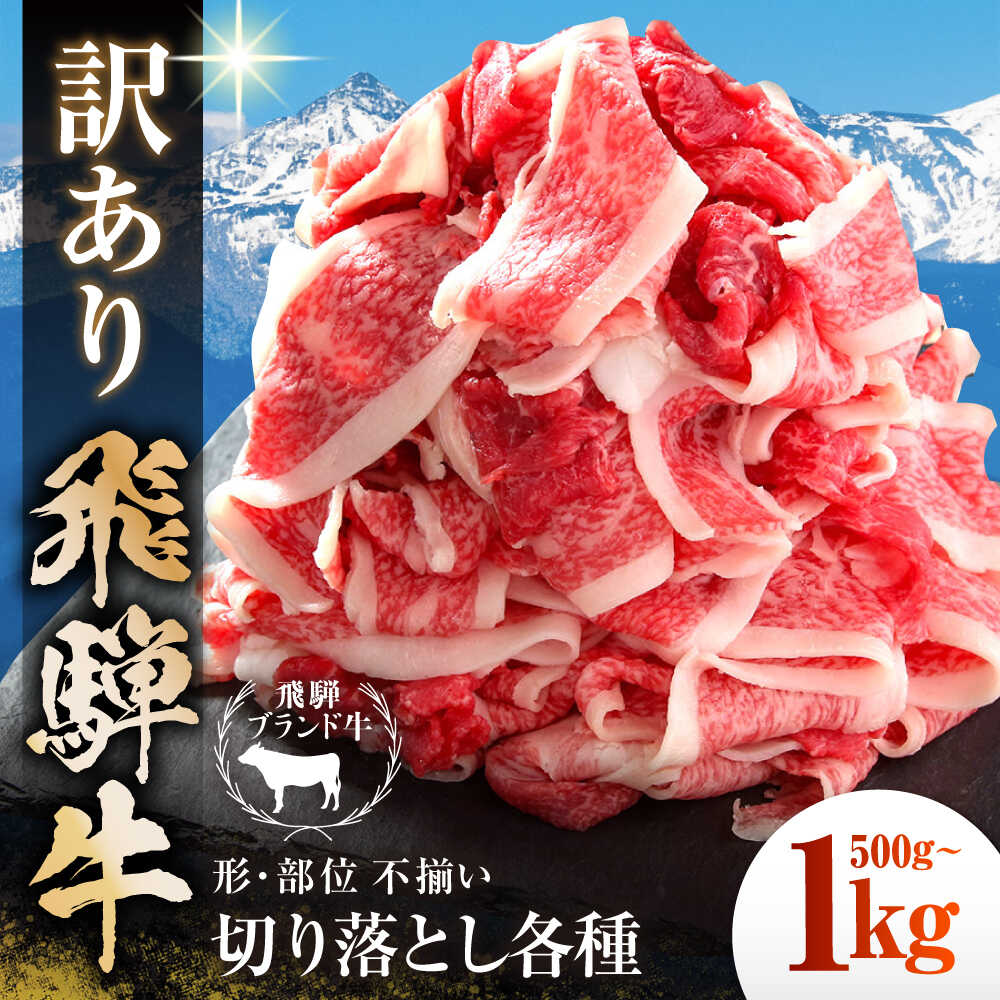 【選べる容量】 【ふるさと納税】【訳あり】 飛騨牛 切落とし 多治見市 / 飛騨高山ミート MZ011 冷凍 真空パック ブランド和牛[THP010]