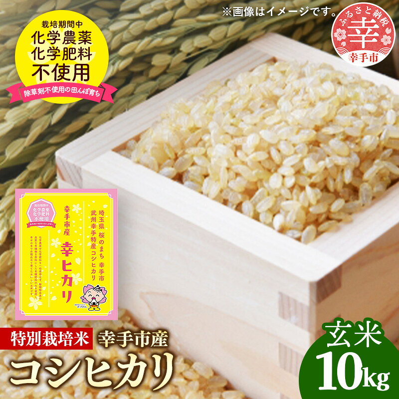 【ふるさと納税】【令和8年産】無農薬・無化学肥料栽培 埼玉県幸手市産特別栽培コシヒカリ 「幸ヒカリ」玄米10kg - 新米 コシヒカリ こしひかり 米 玄米 10kg 特別栽培米 幸手市産 埼玉県 幸手市【価格改定】