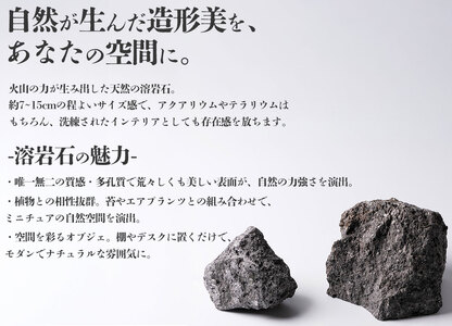 阿蘇溶岩石 サイズはお任せ3kgセット