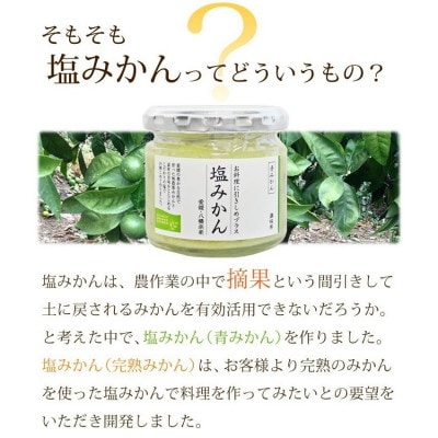 ゲル化剤・pH調整剤不使用!愛媛産 塩みかん寒天ゼリー 12本セット【D25−221】【1628728】