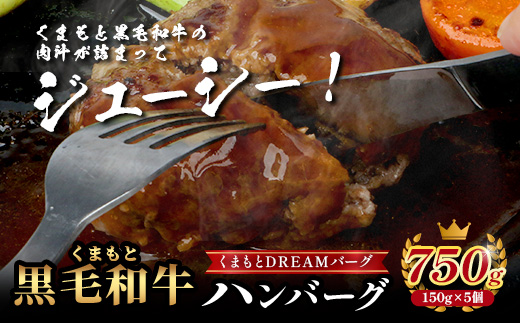 くまもと黒毛和牛 《 DREAMバーグ 150g×5パック 計750g 》 牛肉 100％ 国産 ハンバーグ 熊本 ブランド牛 黒毛 和牛 上質 はんばーぐ 惣菜 熊本県 113-0508