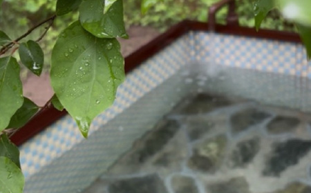 こびとの森「森のサウナ」　3時間30分貸し切りプラン　利用人数6名まで | 森のサウナ バレルサウナ 貸切サウナ 自然体験 森林浴 サウナ旅 国産ヒノキ ピリッと水風呂 伏流水使用 自然の癒し サウナ