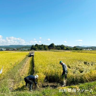 ふるさと納税 川西町 【令和7年産】山形県産【はえぬき】精米 10kg(5kg×2袋) |  | 03