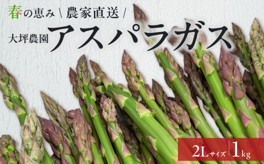 春の恵み　北海道東川町産アスパラガス　2Lサイズ　1㎏