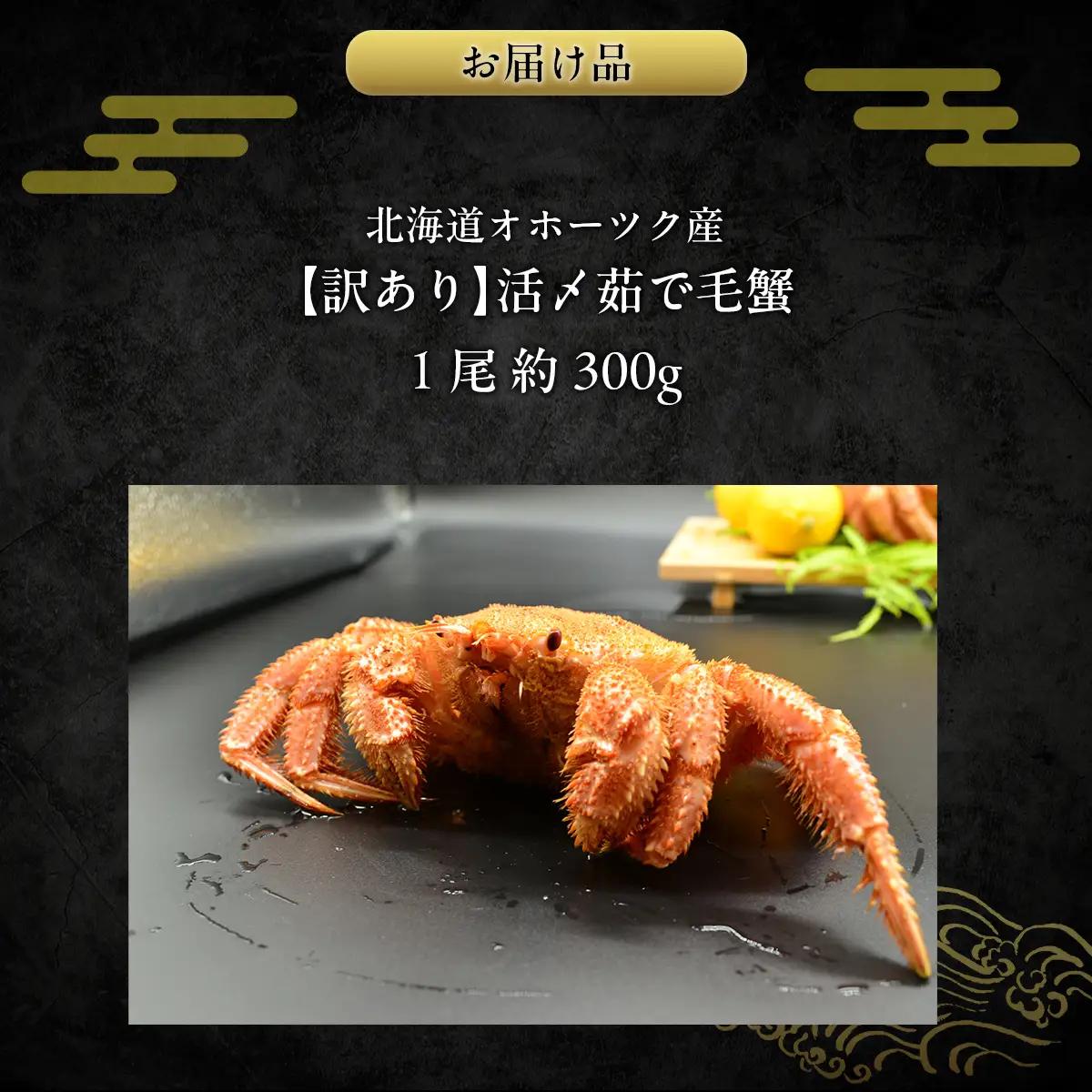 【訳あり】活〆茹で毛蟹1尾 約300g 【ふるさと納税 人気 おすすめ ランキング カニ かに 蟹 毛がに 毛蟹 毛ガニ 活〆 茹で 茹で毛ガニ 活〆毛ガニ 活〆毛がに 訳あり 海鮮 オホーツク 北海