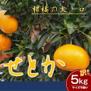 【ふるさと納税】せとか サイズ不揃い5キロ 家庭用　今が旬 甘い 農園直送 みかん 人気 数量限定 先行予約 柑橘 蜜柑 ミカン 愛媛みかん かんきつ 愛媛県 産地直送 フルーツ 果物 くだもの　 果物類 みかん 柑橘類 柑橘類 フルーツ 　お届け：2025年3月上旬～3月31日頃