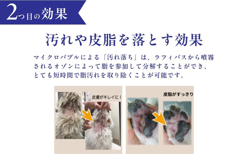 犬猫犬用オゾンジャグジーバス2ヶ月レンタルサービス