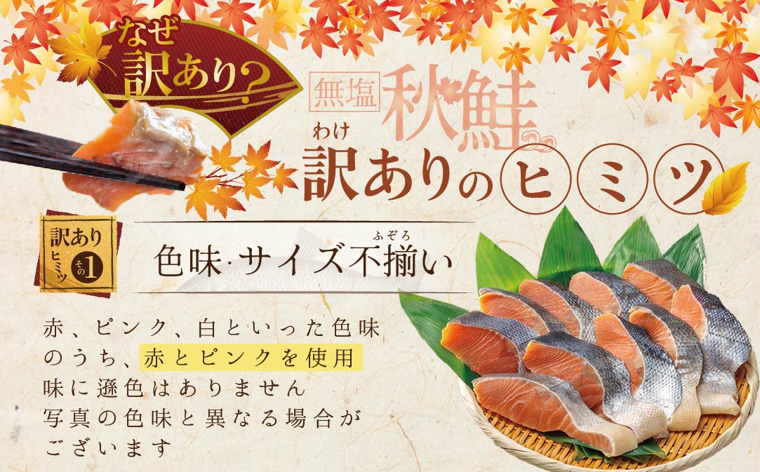 【訳あり】「秋鮭の切り身（無塩）」1.4kg【BT000MD04】