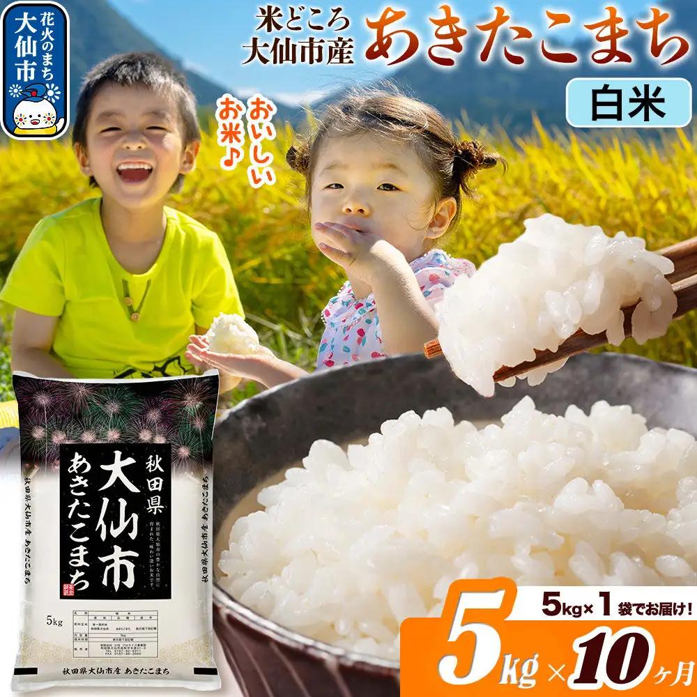 米《定期便10ヶ月》あきたこまち【白米】 米どころ秋田県大仙市産 令和7年産 精米 5kg（5kg×1袋）