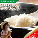 【ふるさと納税】 コシヒカリ 3kg 5kg 10kg 25kg 阿波ノ北方米 令和6年産 単品 定期便 3キロ 5キロ 10キロ 25キロ お米3kg お米5kg お米10kg お米25kg コメ 備蓄 備蓄米 保存 防災 災害 1等 米 白米 お米 新米 徳島県 阿波市 阿波ノ北方農園