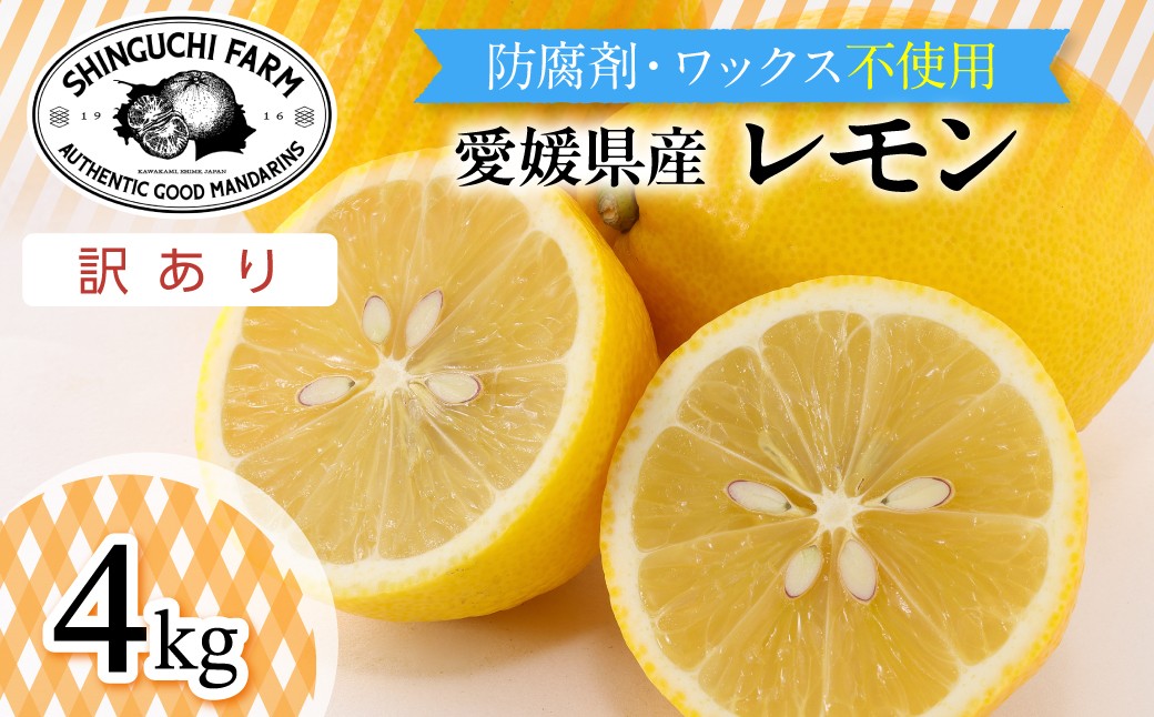 
                  【先行受付 2027年発送】訳あり 愛媛レモン4kg 防腐剤・ワックス不使用【1622582】 YWTK073
                