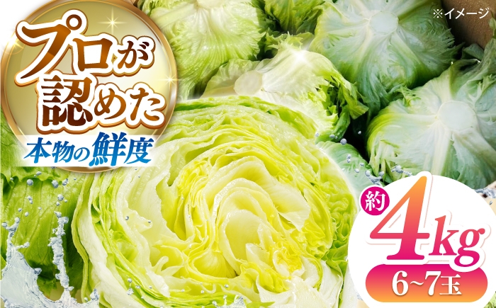 
                  【2026年12月～発送】レタス 約4kg（6～7玉）/ れたす 野菜 やさい / 南島原市 / 株式会社松尾青果 [SGU006]
                
