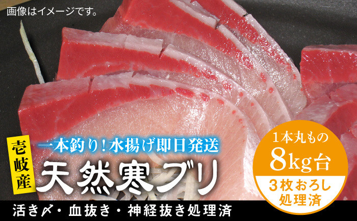 
            壱岐島産天然寒ブリ（8キロ台・3枚おろし） 《壱岐市》【壱岐島　玄海屋】[JBS013] ぶり 寒ぶり ブリ 魚 刺身 しゃぶしゃぶ 96000 96000円 
          