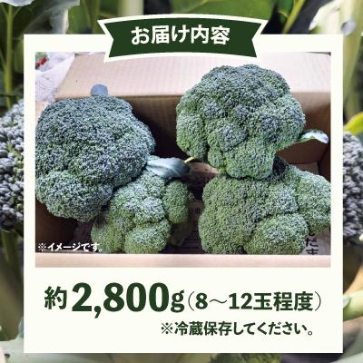 ふるさと納税 大館市 採りたて新鮮!ブロッコリー 約2800g |  | 02