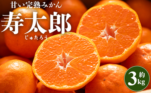 間城農園 甘い完熟みかん寿太郎(じゅたろう)3kg - 柑橘 フルーツ 果物 みかん ミカン みかん 蜜柑 ms-0046