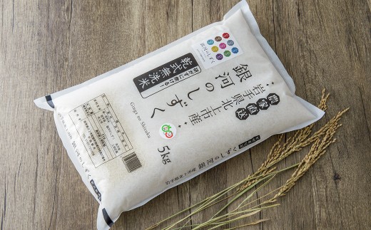 【 令和7年産 新米 】10月中旬以降発送開始予定 北上産 無洗米『 銀河のしずく 』 5kg お米 ご飯 国産 産地直送 ブランド米 オリジナル 品種 岩手県 北上市 D0545 千田さんのお米 国産 米 白米