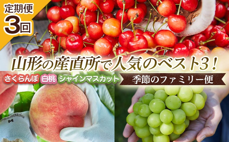 
                  【定期便3回】山形の産直所で人気のベスト3！さくらんぼ・白桃・シャインマスカット【季節のファミリー便】 FZ25-223
                