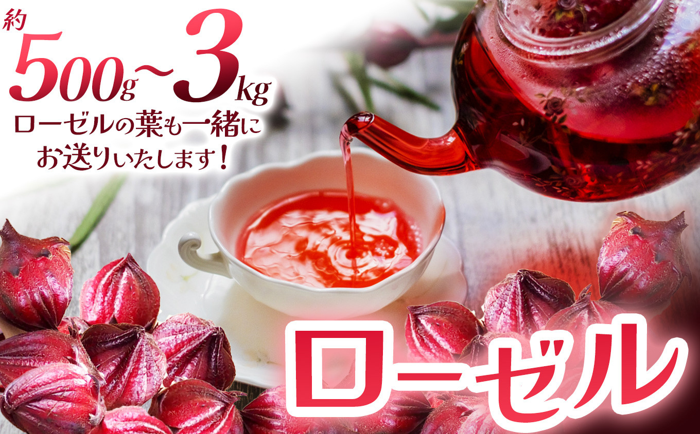 
            【選べる内容量】ローゼル(ローゼルの葉同梱)  | ローゼル 農薬不使用 化学肥料不使用 珍しい 栃木県 特産品
          