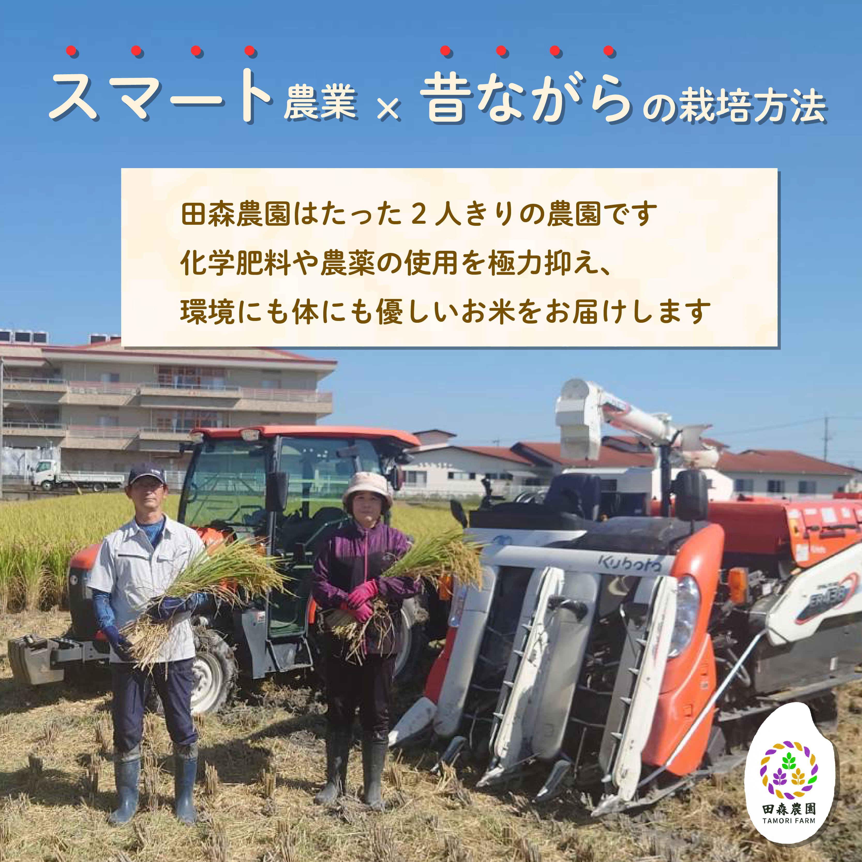 米 こしひかり 2kg 農家直送 特別栽培米 精米 令和7年度産 お米 贈り物 新生活 人気米 ご飯 白米 コメ 贈答 静岡県 藤枝市