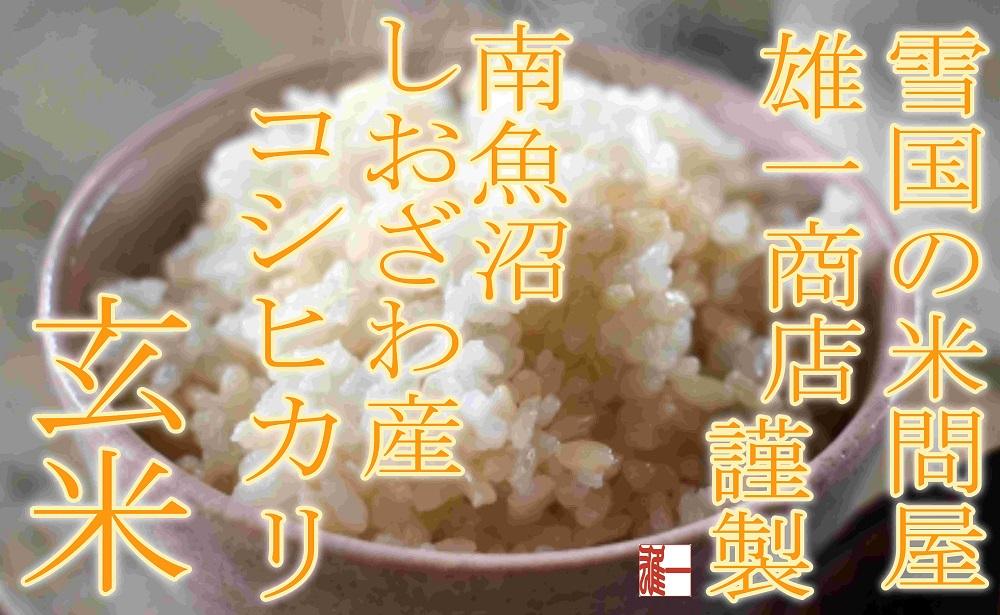 【令和7年産】●玄米● 【定期便4Kg×3ヶ月】 生産者限定 南魚沼しおざわ産コシヒカリ【2025年10月上旬より順次発送予定】