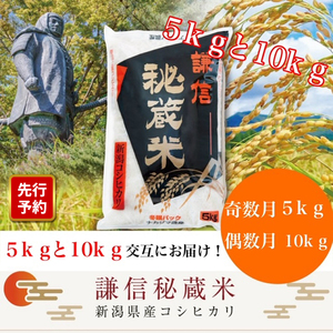 【先行予約｜10月上旬より順次出荷】定期便 12回 月替わり発送(奇数月5kg偶数月10kg)(全12回) 5kg 10kg 米 新潟県産 コシヒカリ  精白米 謙信秘蔵米  お米  こめ コメ おこめ おすすめ こしひかり 新潟 にいがた 新潟米 上越 上越産 上越米 ふるさと納税 定期便 人気