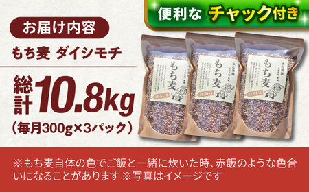 【全12回定期便】白石産 もち麦 900g（300g×3袋）/回（総計10.8kg）【道の駅しろいしカンパニー】[IAA036]