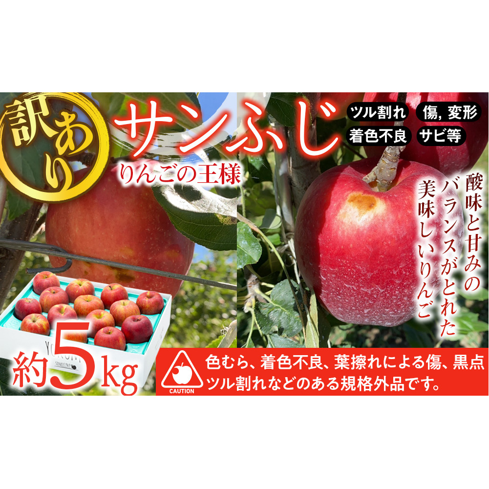  訳あり りんご さんふじ 約5kg 2025年 令和7年度発送分 リンゴ 林檎 長野 フルーツ 果物 信州産 長野県産 特産 産地直送 家庭用 おすすめ 