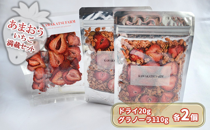 
ドライフルーツ グラノーラ セット あまおうドライ 20g×2＋いちごいちごいちごあまおうグラノーラ 2パック セット
