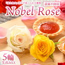 【ふるさと納税】『美を食す』 Nobel Rose 生花MIX 5輪｜通年出荷 食用バラ 薔薇