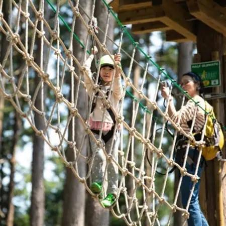 オドルの森クイックアドベンチャー　1名様利用券【1673001】