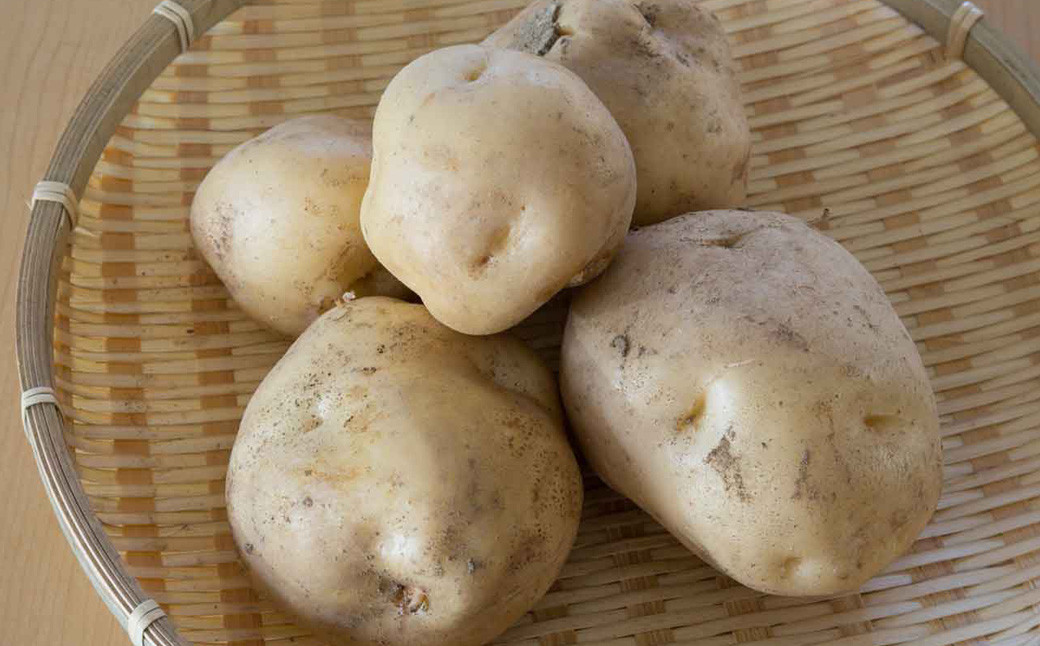 北海道蘭越産じゃがいも（男爵）約5kg
