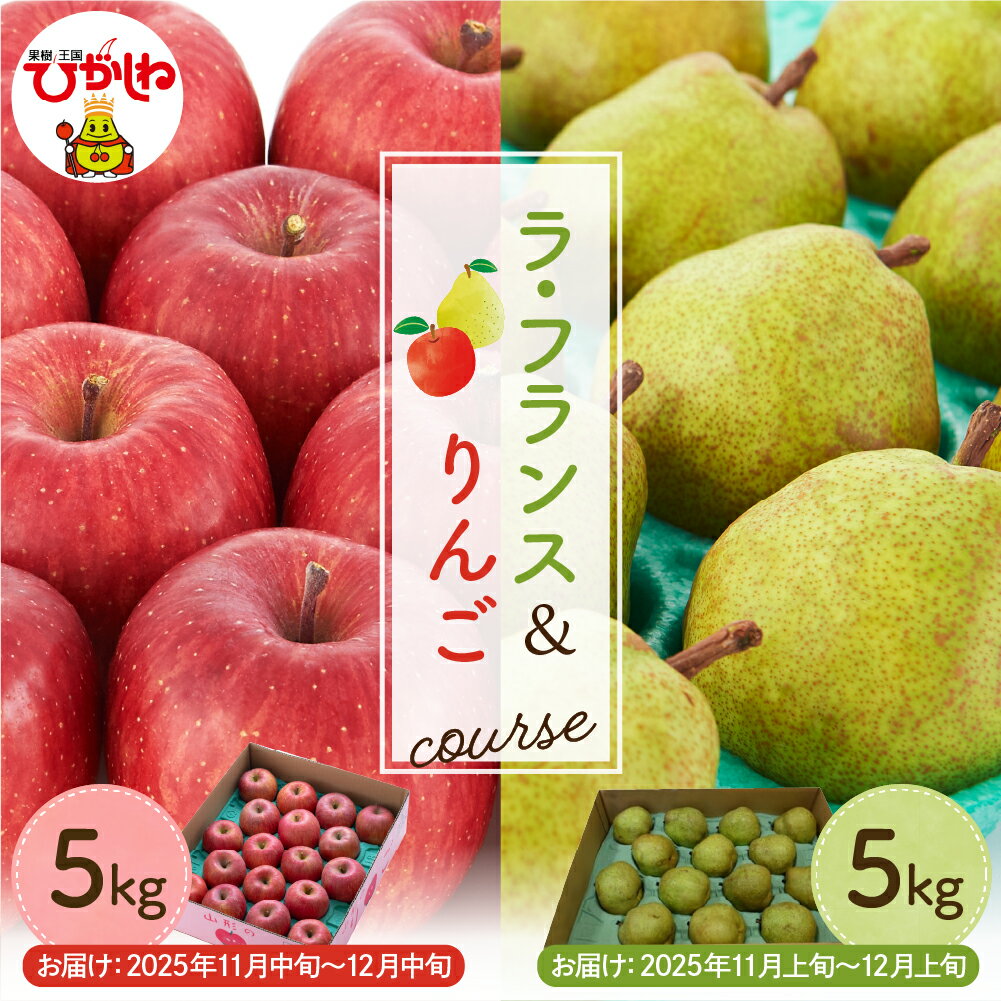 【ふるさと納税】【 2回 定期便 】 ラ・フランス & りんご 各5kg ラフランス 洋なし 洋梨 なし 西洋梨 サンふじ リンゴ 林檎 フルーツ 果物 くだもの 産地直送 お取り寄せ 送料無料 東北 山形県 東根市