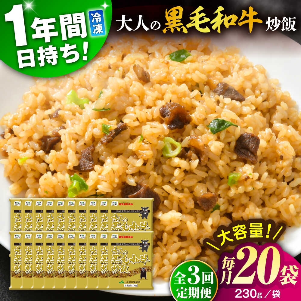 【ふるさと納税】【全3回定期便】熊本県産 こだわり炒飯 大人の黒毛和牛 炒飯 230g×20袋 合計4.6kg【ユーユーフーズ株式会社】[BHCS021]