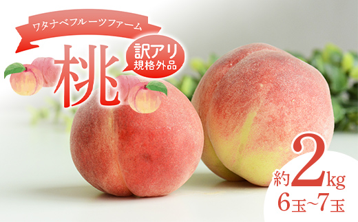 【訳アリ規格外品】ワタナベフルーツファームの桃 約2kg （6～7玉） もも モモ フルーツ 果物 F6Q-520