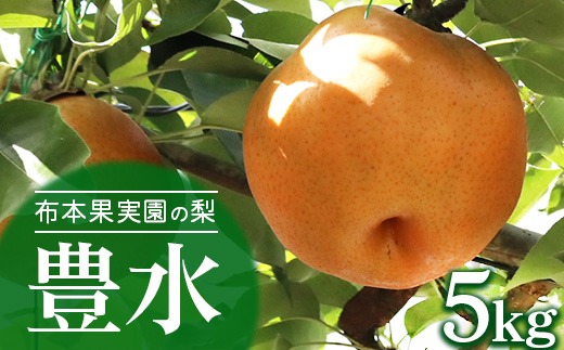 【早期予約】布本果実園の梨「豊水」5kg※北海道・沖縄・離島への配送不可 ※2025年9月中旬～9月下旬頃より順次発送予定