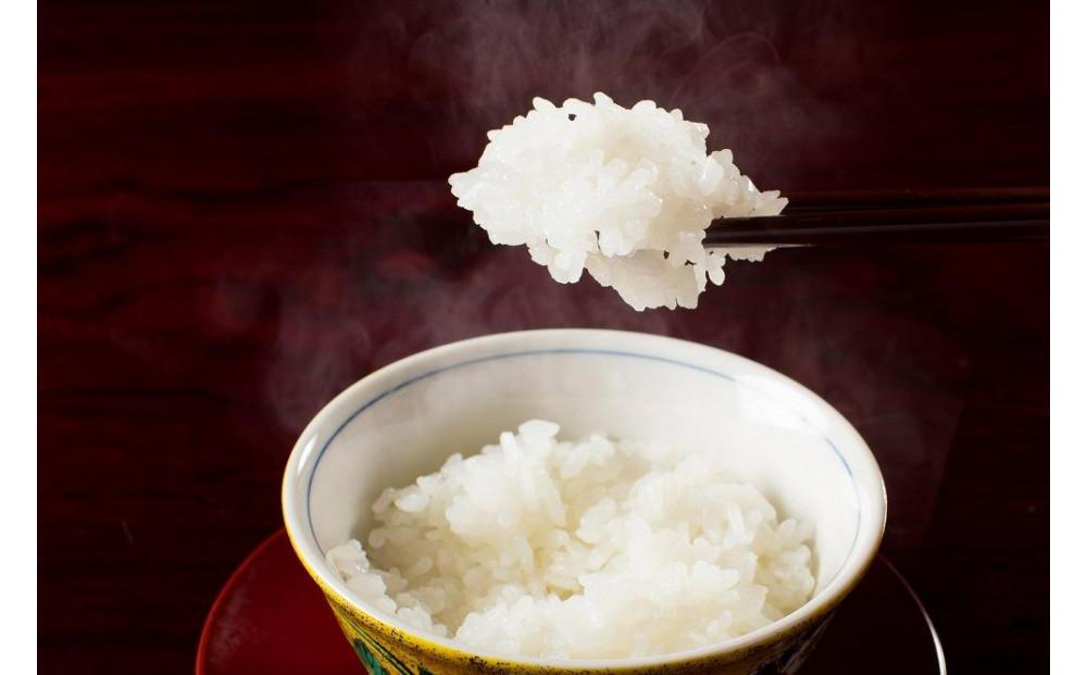 【令和6年産 新米】【魚沼産コシヒカリ 玄米10kg（5kg×2袋）×全6回】雪解け水がお米を育む、津南町特A地区の美味しいお米。